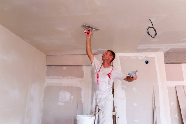 Best Custom Drywall Designs  in Columbia, CA